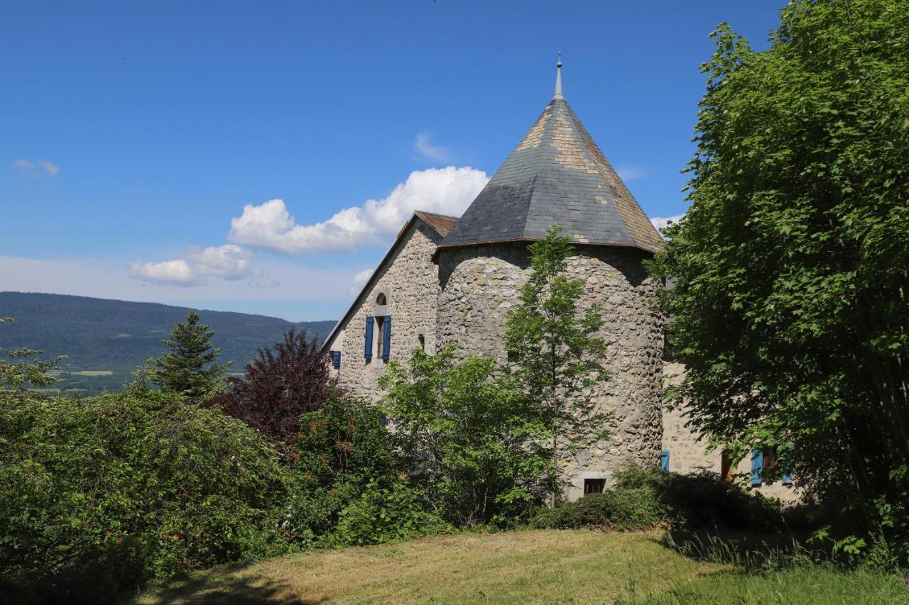Chateau De Sothonod 외부 사진